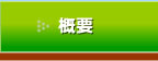 概要